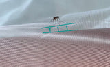 Mosquito on ShrugBug mesh showing the air gap between mosquito-protective clothing and skin