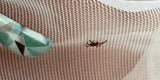 How to De-Tick Your ShrugBug Gear Like a Pro