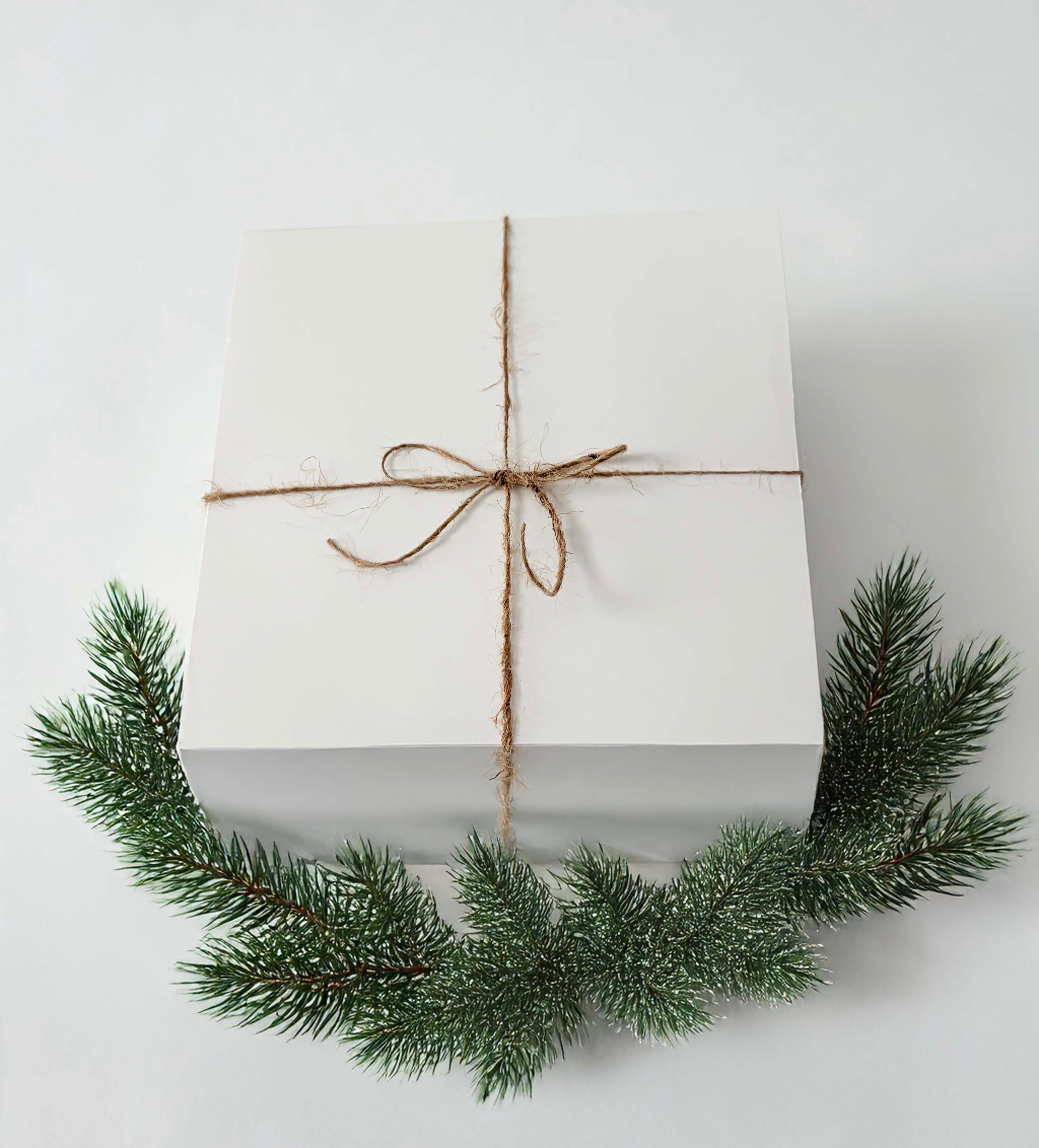 The Gift Everyone Fights Over