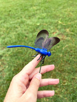 Dragonfly Decoys