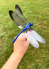 Dragonfly Decoys